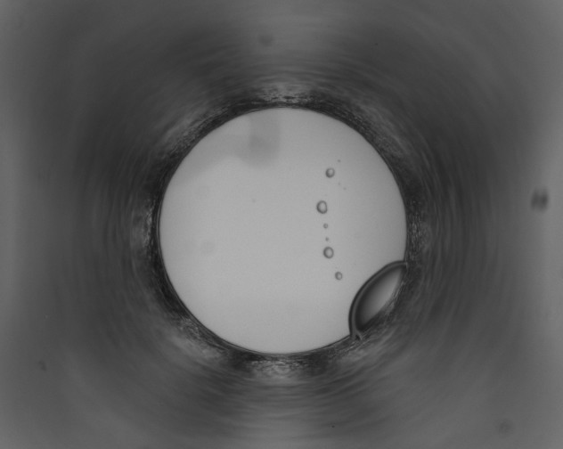 X0000089390652200707131720