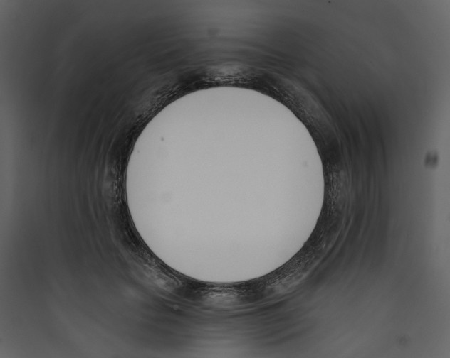 X0000089390653200707131720