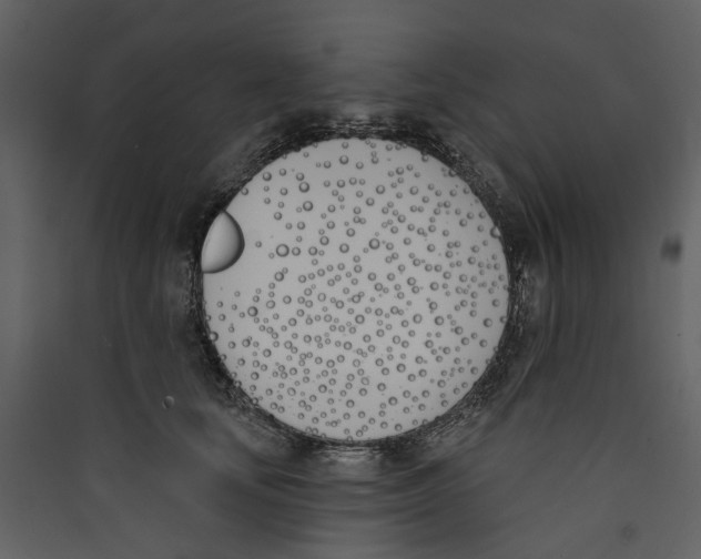 X0000089390659200707131720