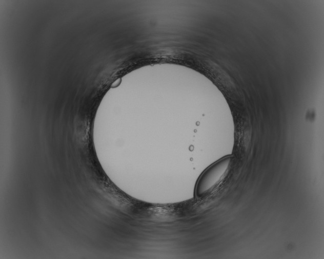 X0000089390660200707131720