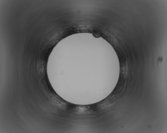 X0000089390662200707131720