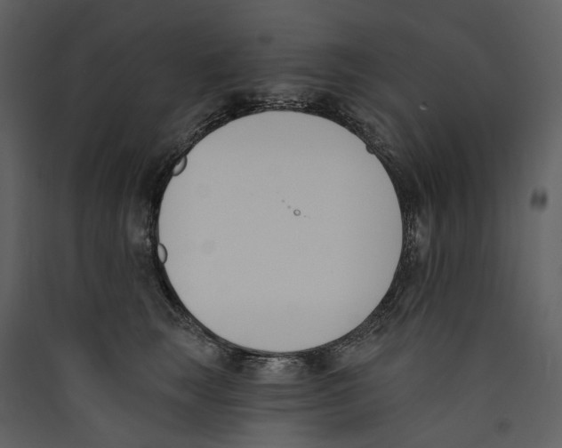X0000089390663200707131720