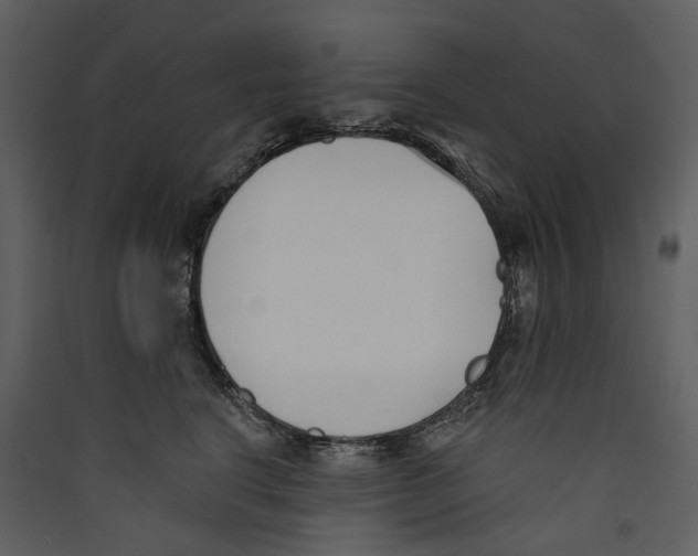 X0000089390664200707131720