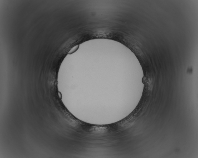 X0000089390665200707131720