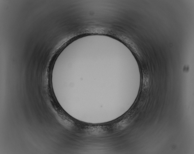 X0000089390674200707131720