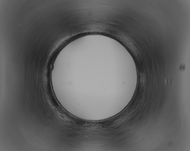 X0000089390676200707131720