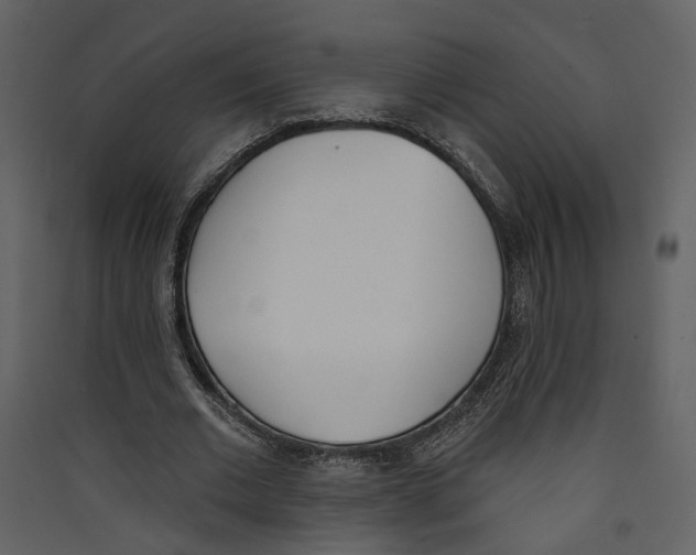 X0000089390677200707131719