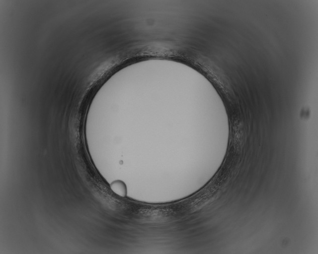 X0000089390679200707131719