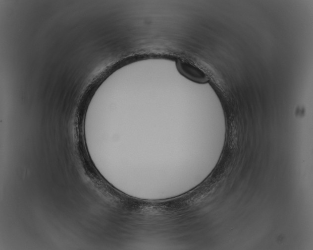 X0000089390680200707131719
