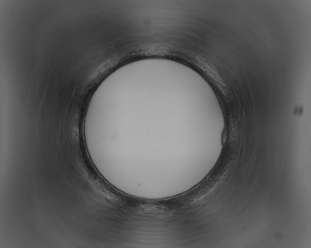 X0000089390681200707131719