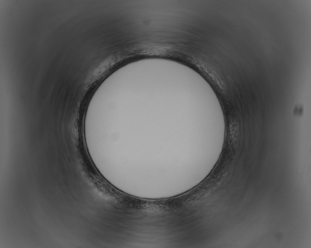 X0000089390682200707131719