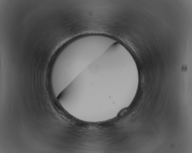 X0000089390684200707131719