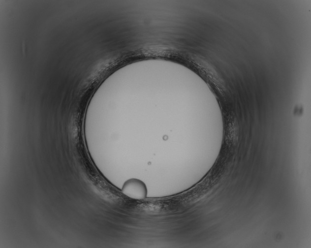 X0000089390687200707131719