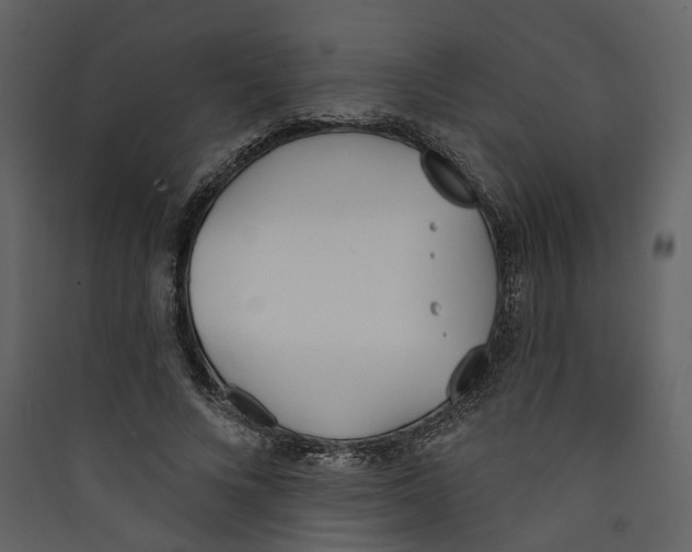 X0000089390688200707131719