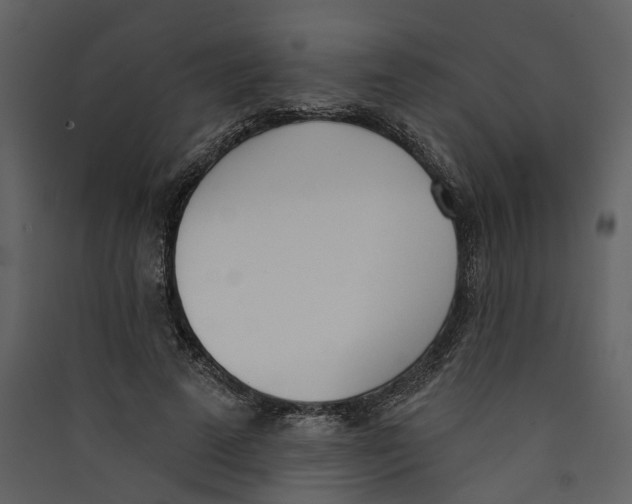 X0000089390689200707131719