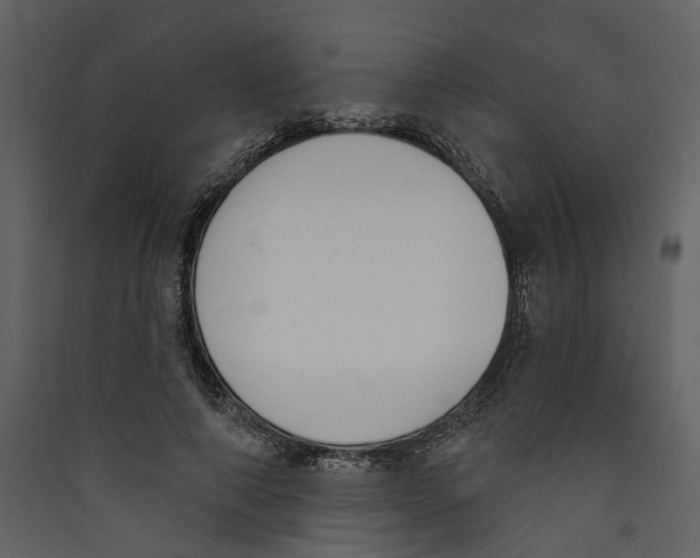 X0000089390690200707131719