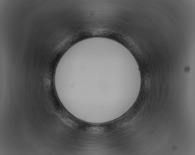X0000089390691200707131719