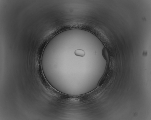 X0000089390692200707131719