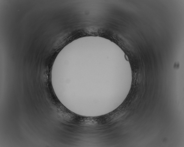 X0000089390702200707131719