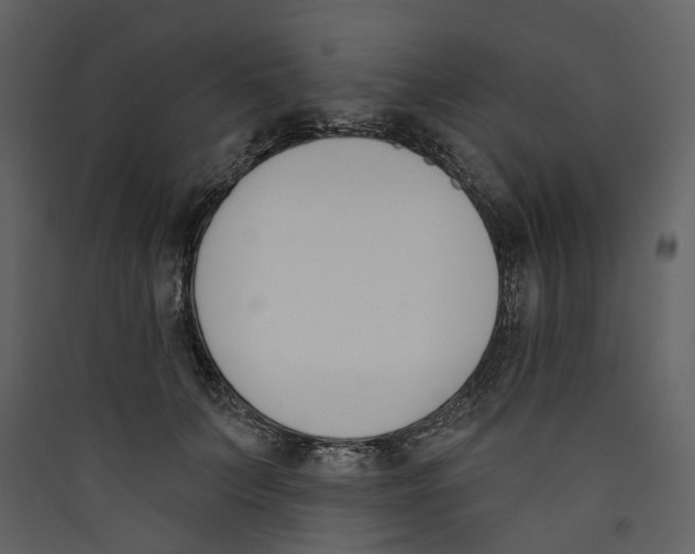 X0000089390703200707131719