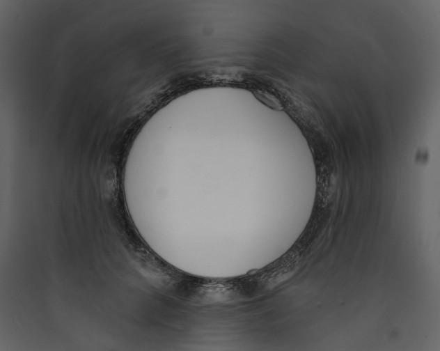 X0000089390704200707131719
