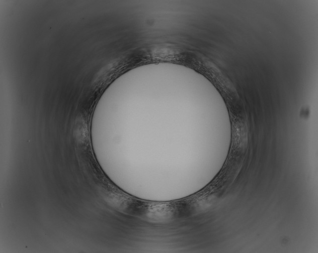 X0000089390705200707131719
