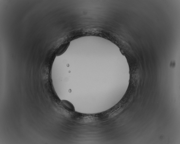 X0000089390708200707131719