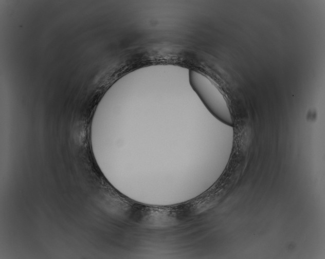 X0000089390709200707131719