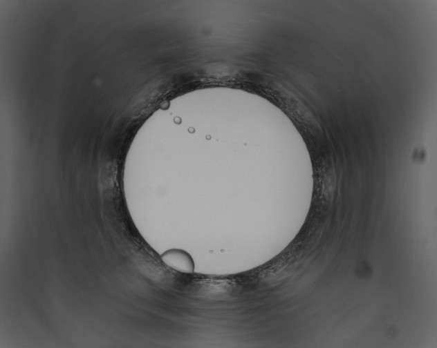 X0000089390711200707131719