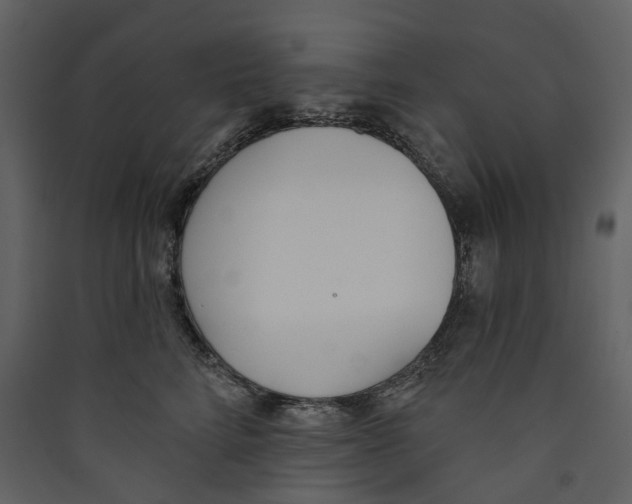 X0000089390712200707131719