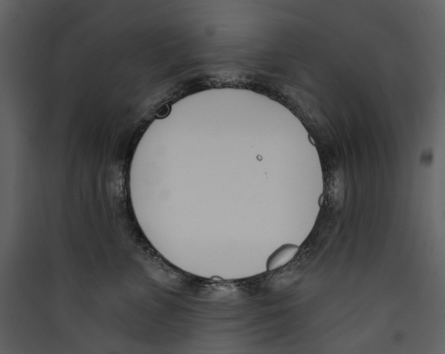 X0000089390715200707131719