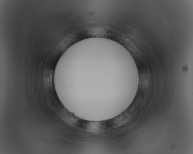 X0000089390717200707131719