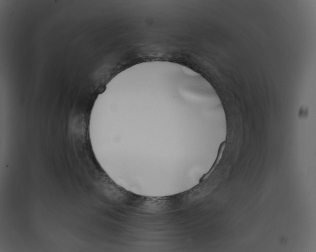 X0000089390720200707131719