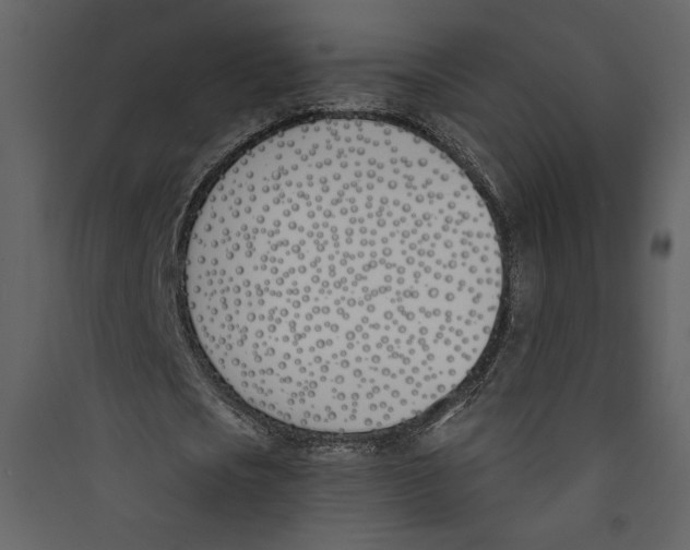 X0000089390721200707131718