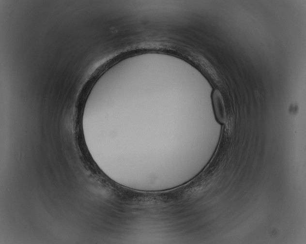 X0000089390724200707131718