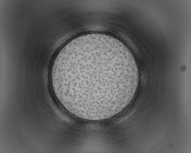 X0000089390725200707131718