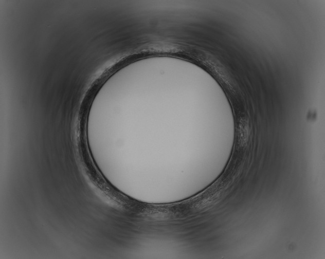 X0000089390726200707131718