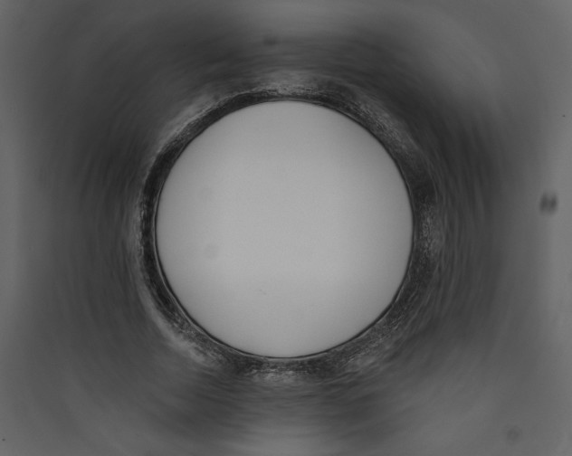 X0000089390730200707131718