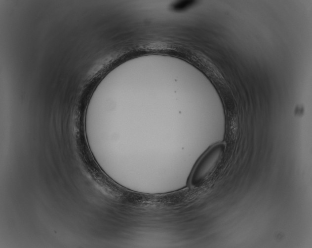 X0000089390732200707131718