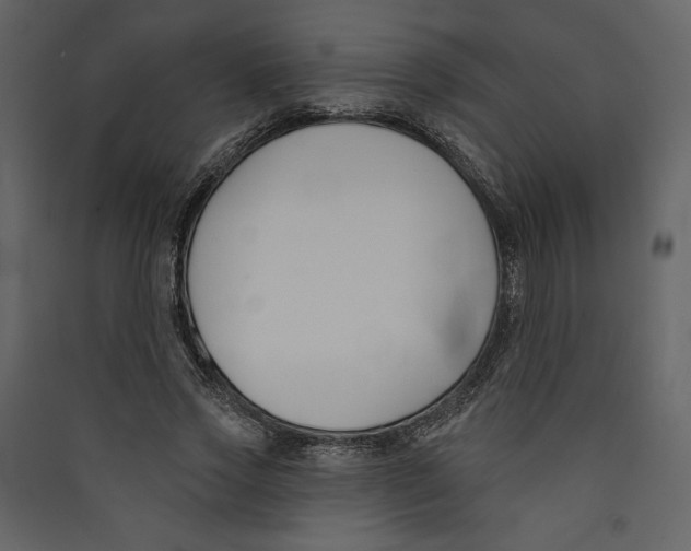 X0000089390733200707131719