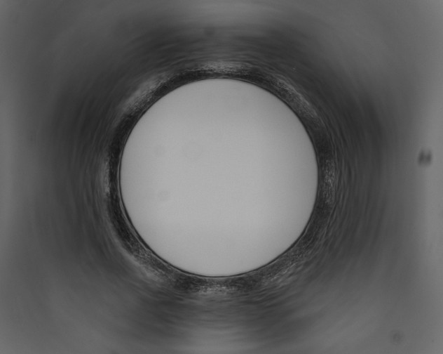 X0000089390734200707131719
