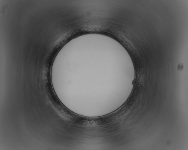 X0000089390735200707131719