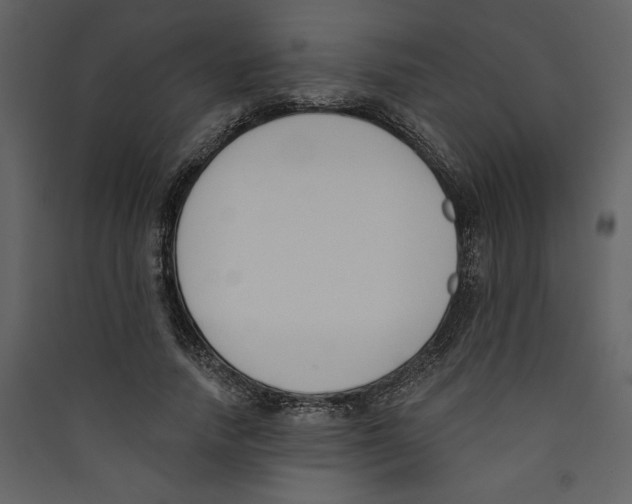 X0000089390738200707131719