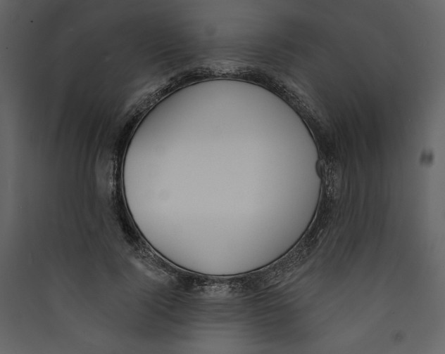 X0000089390740200707131719