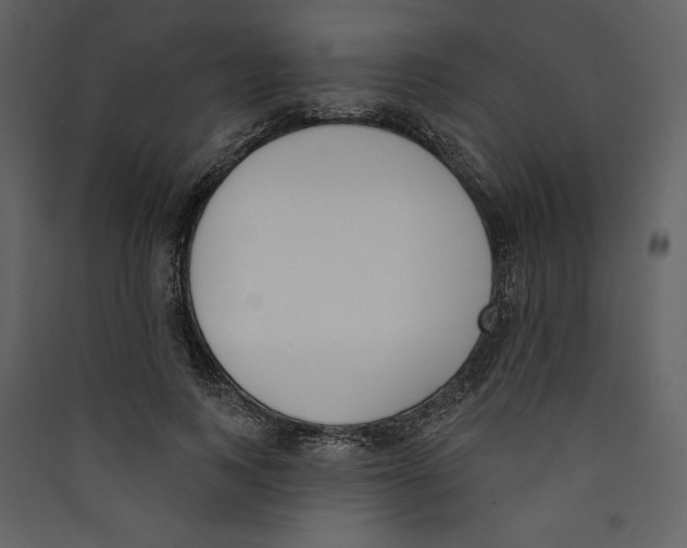X0000089390743200707131719