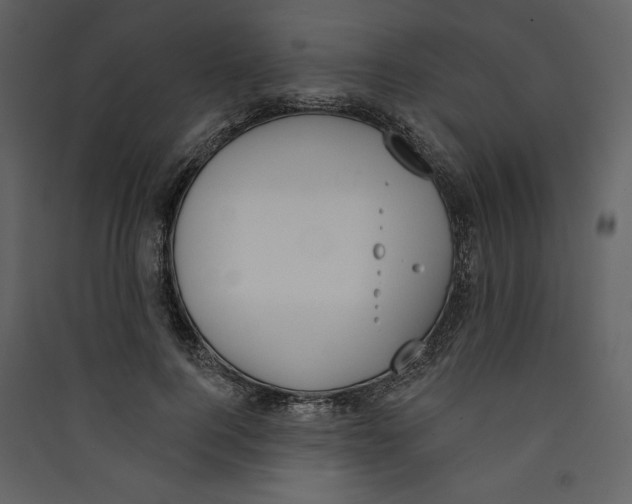 X0000089390744200707131719