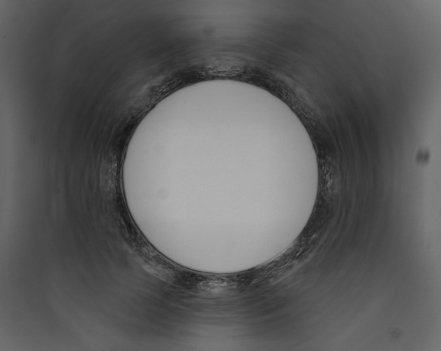 X0000089390745200707131719