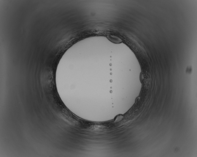 X0000089390748200707131719