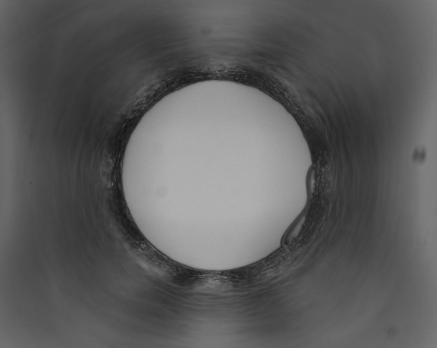X0000089390750200707131719