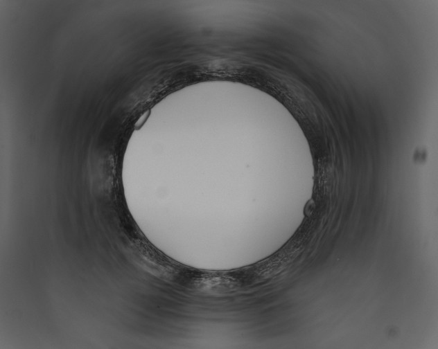 X0000089390752200707131719